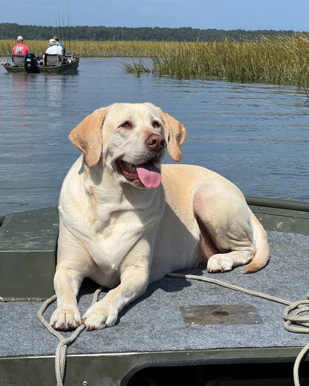 Stella, out on the water — see more photos
